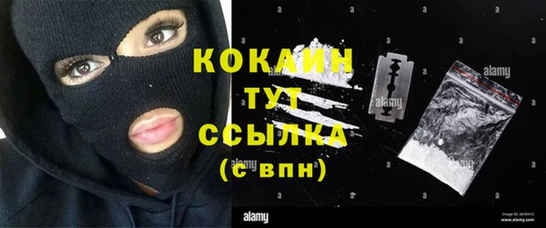 спайс Алексин