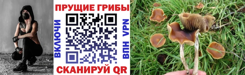 как найти закладки  Апатиты  OMG онион  Галлюциногенные грибы мухоморы 